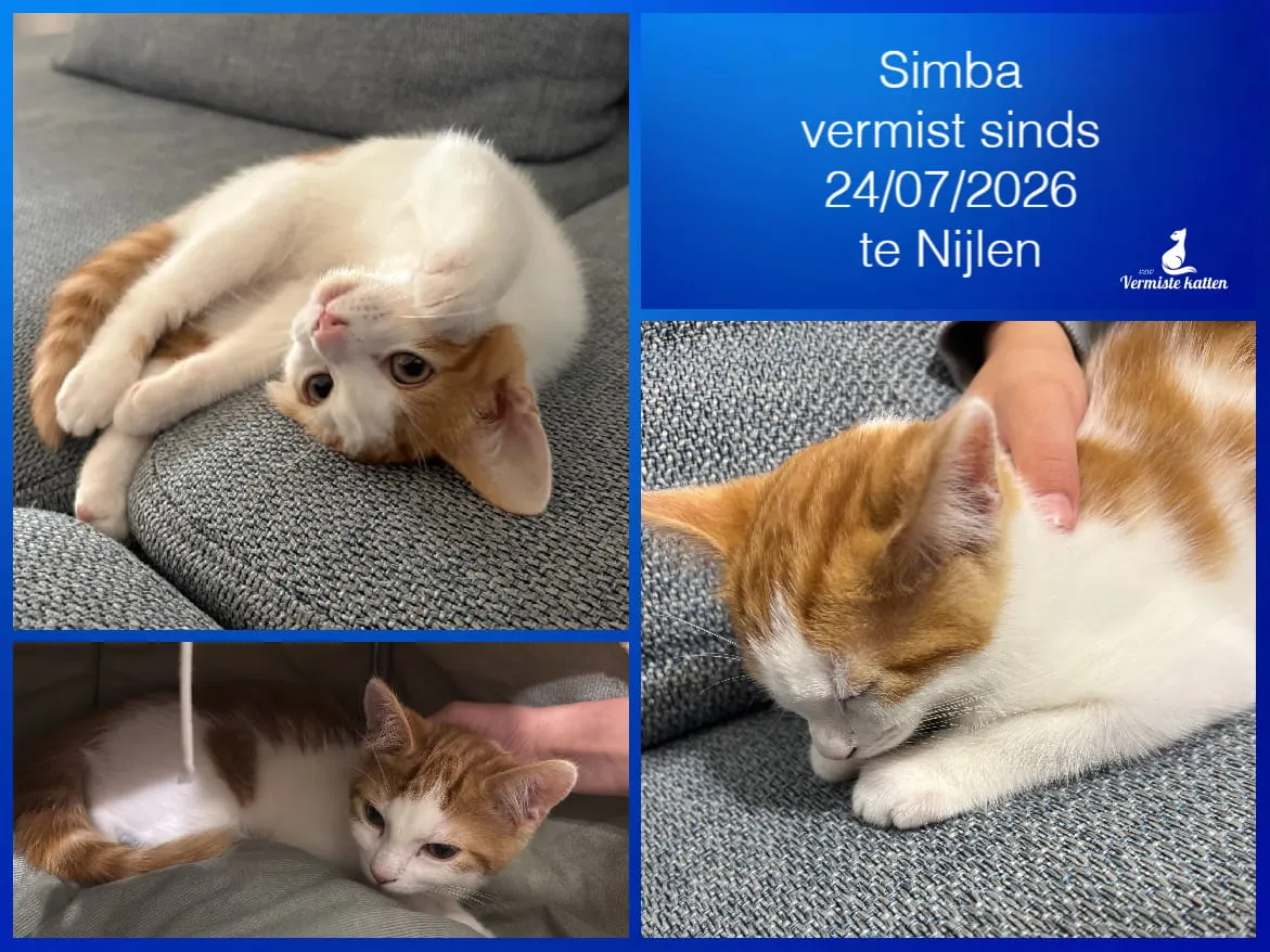 Simba