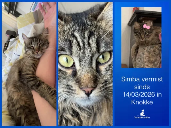 Simba