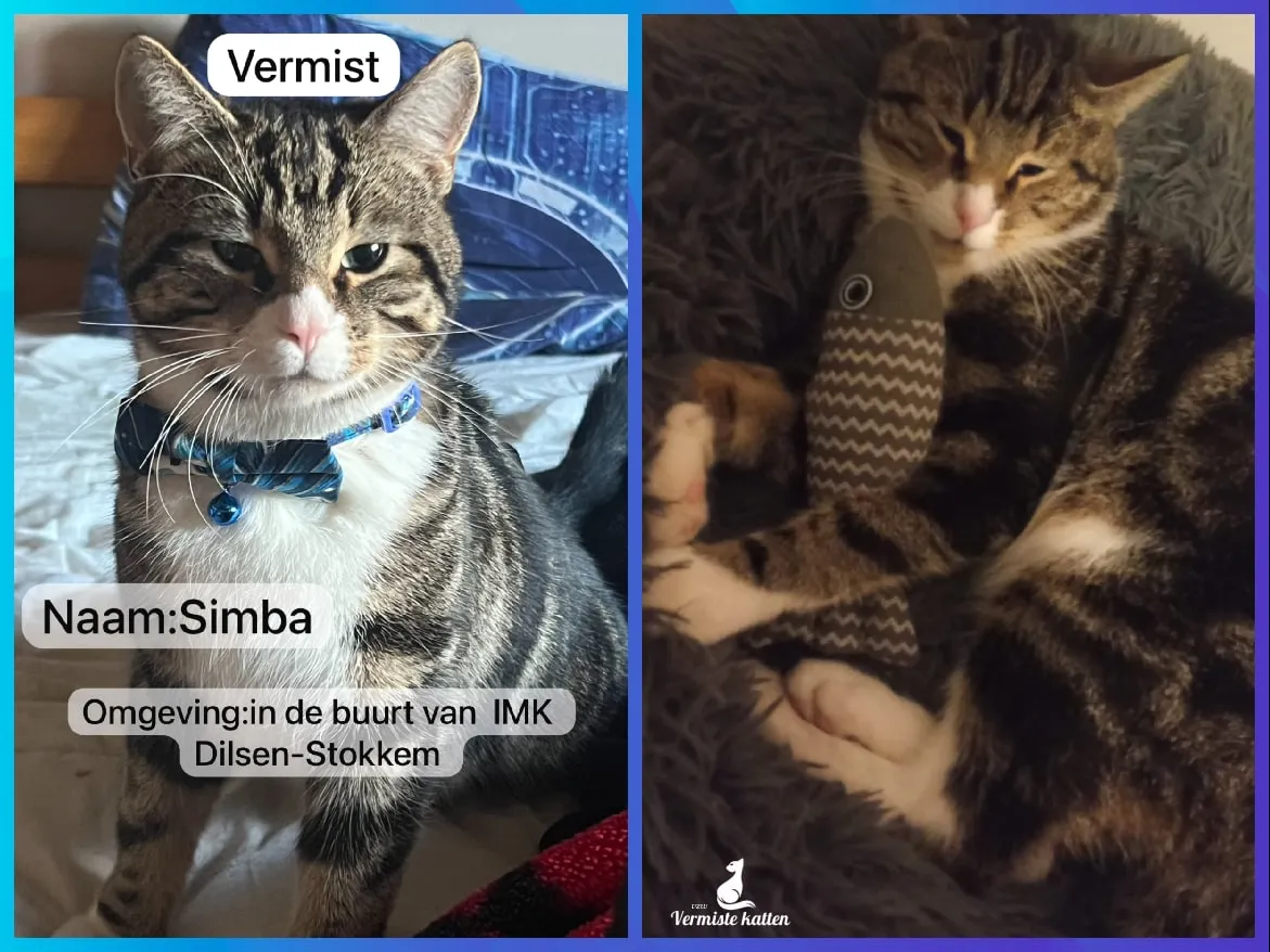 Simba
