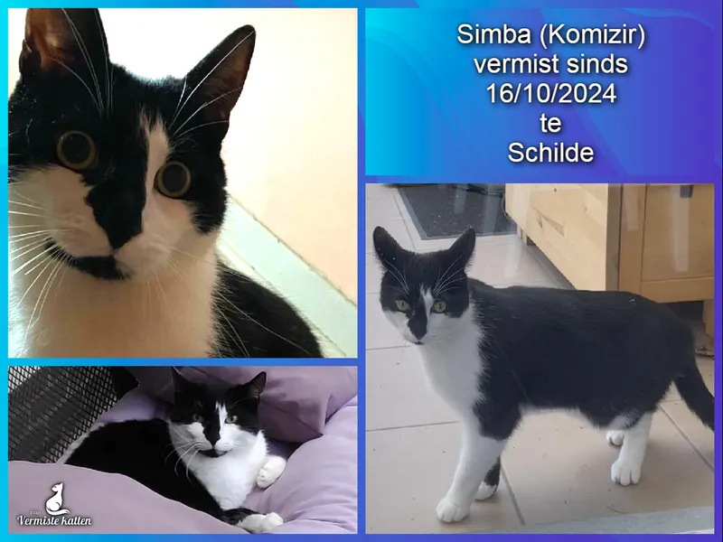 Simba (Komizir)