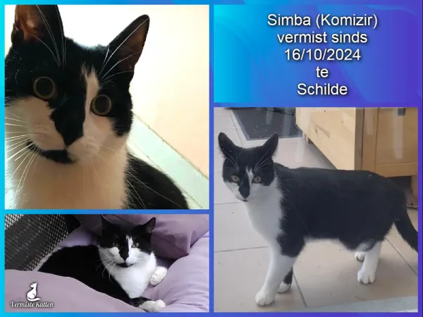 Simba (Komizir)