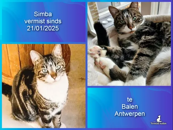 Simba