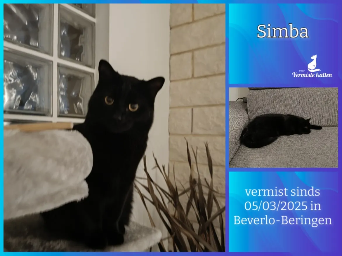 Simba