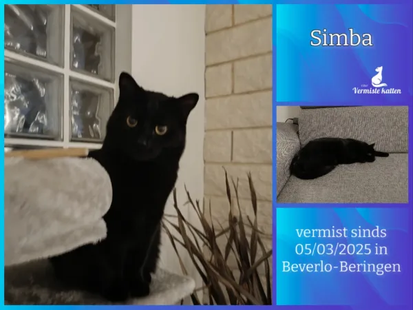 Simba