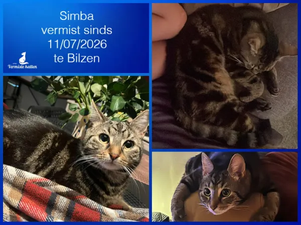 Simba