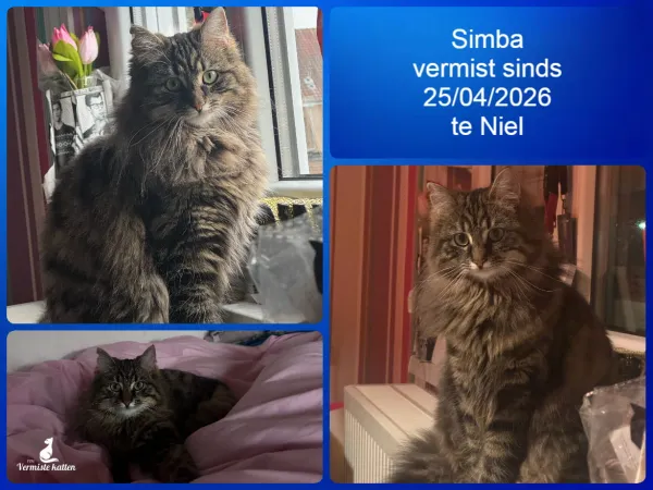 Simba