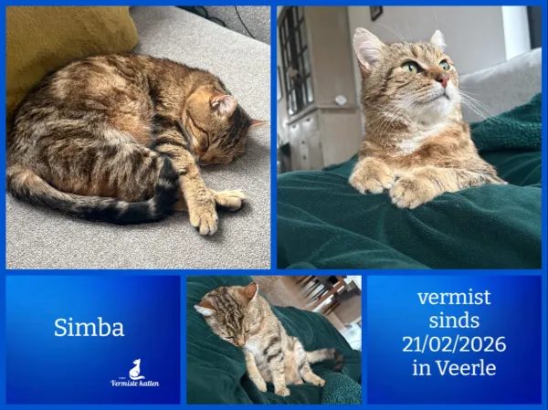 Simba