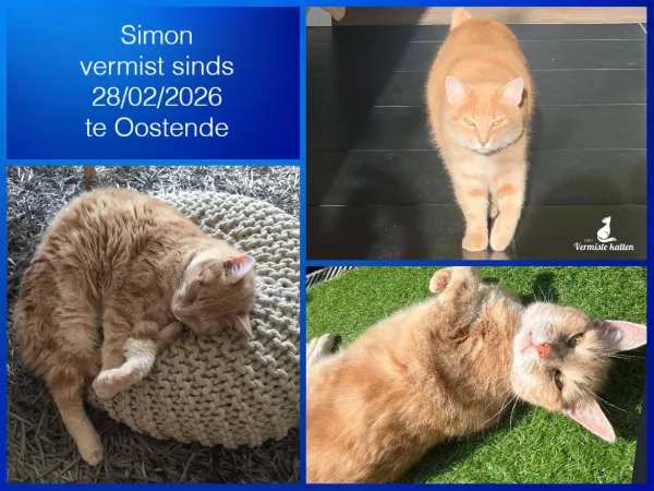 Simon