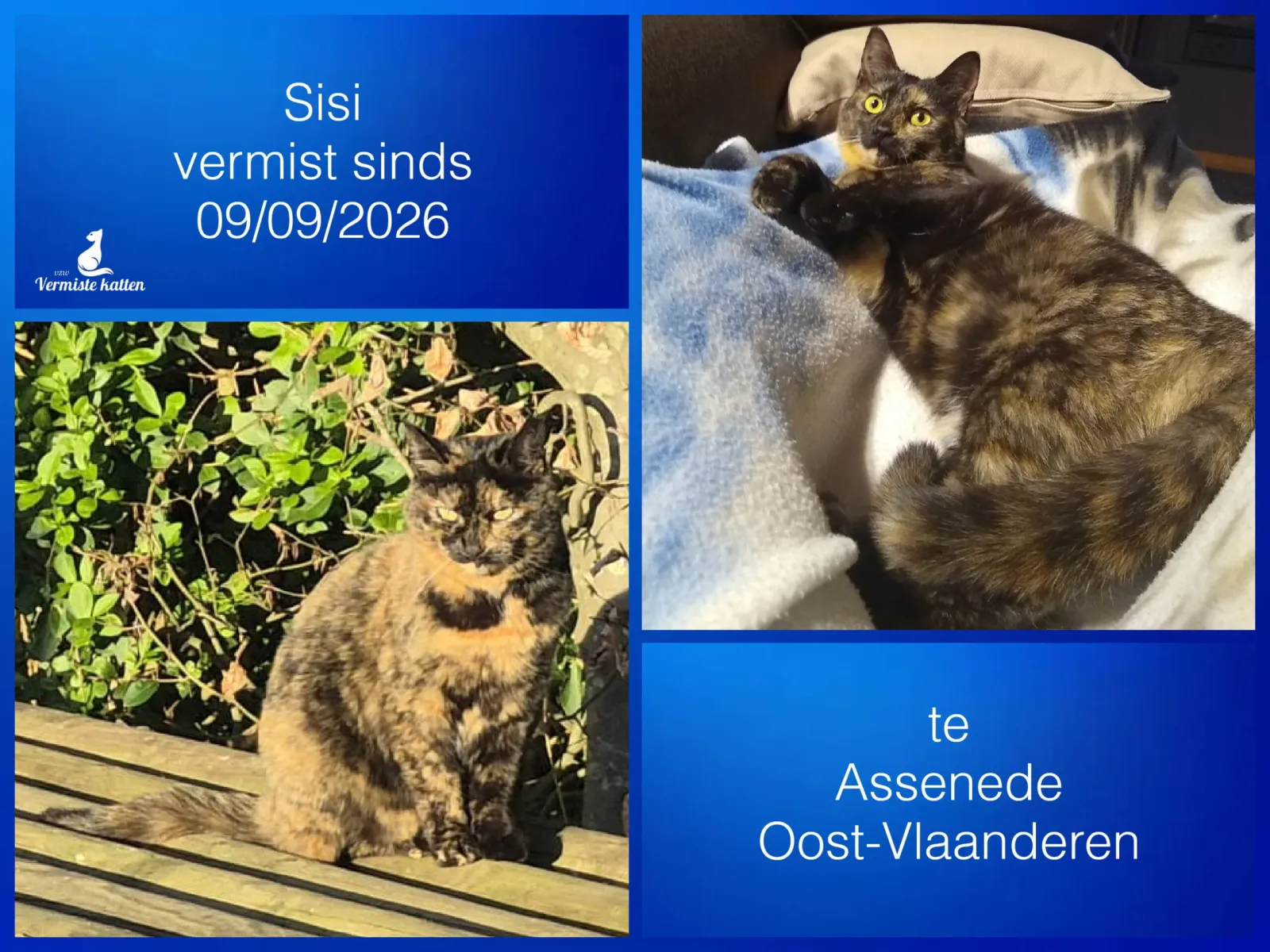Sisi