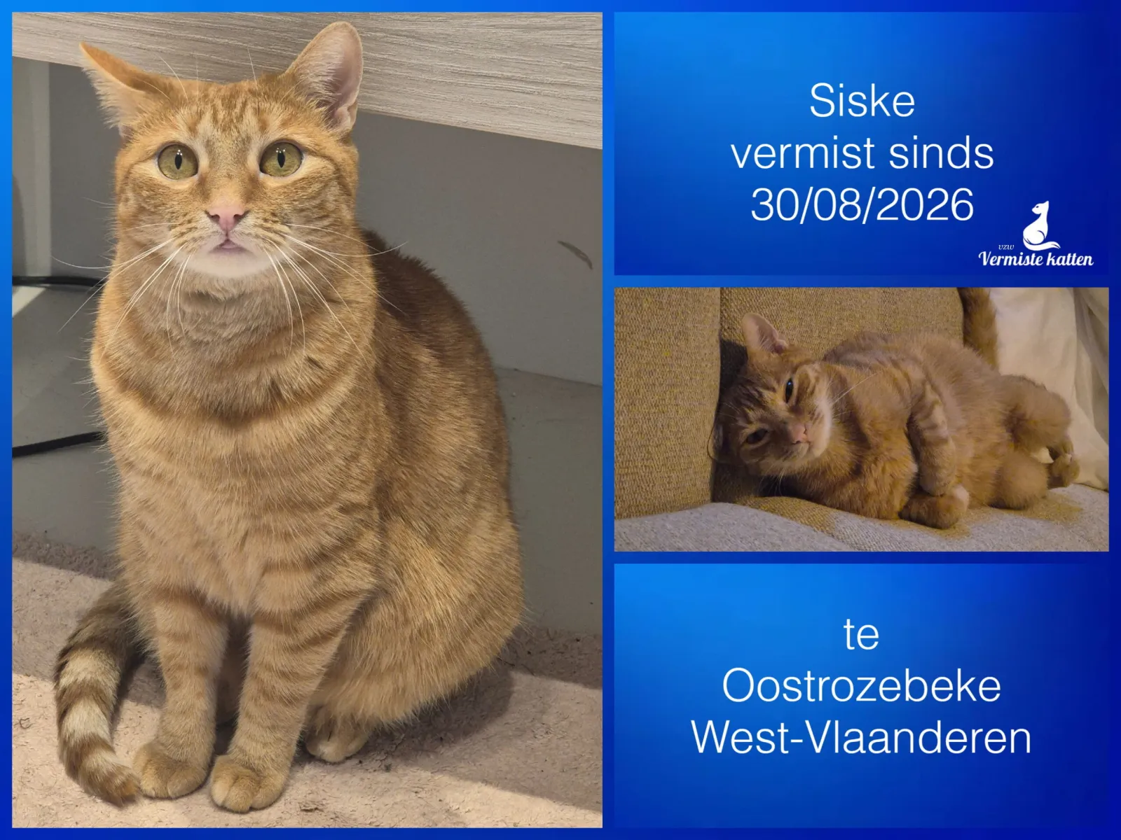 Siske