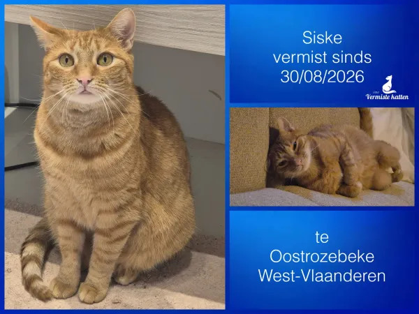 Siske
