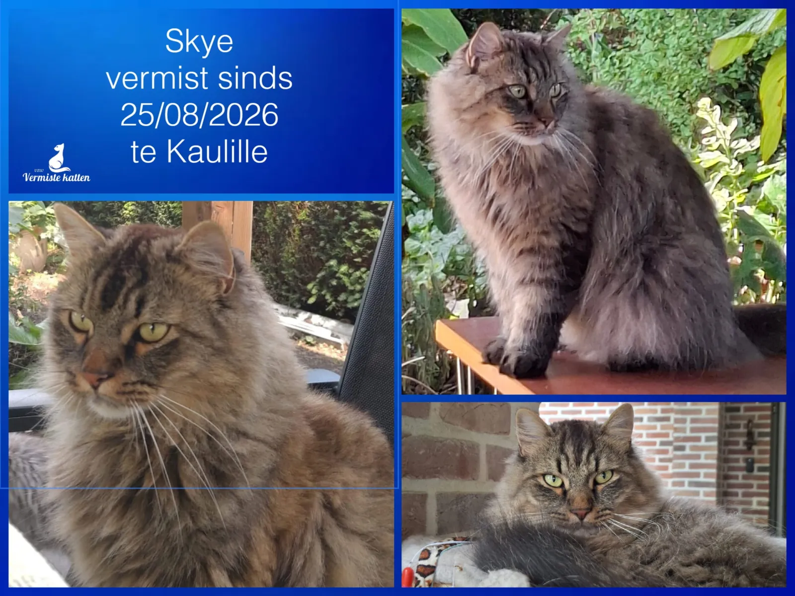 Skye