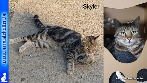 Skyler