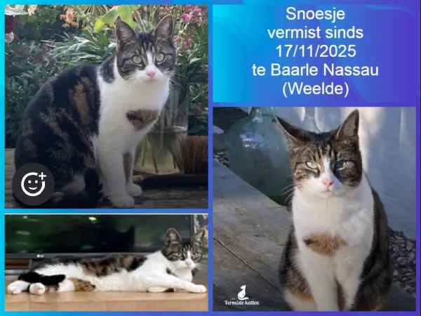 Snoesje