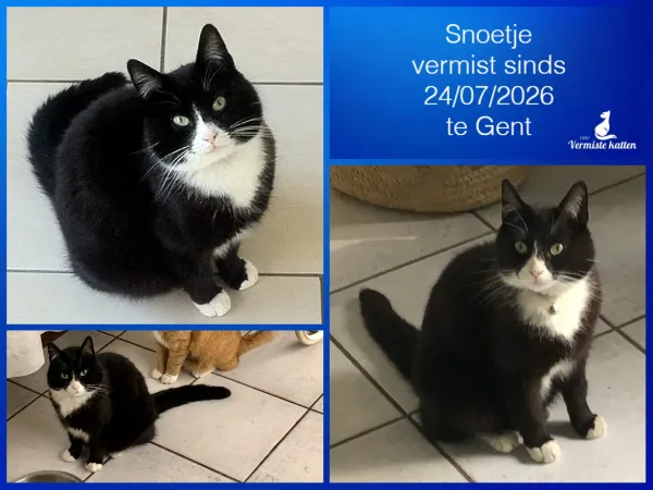 Snoetje