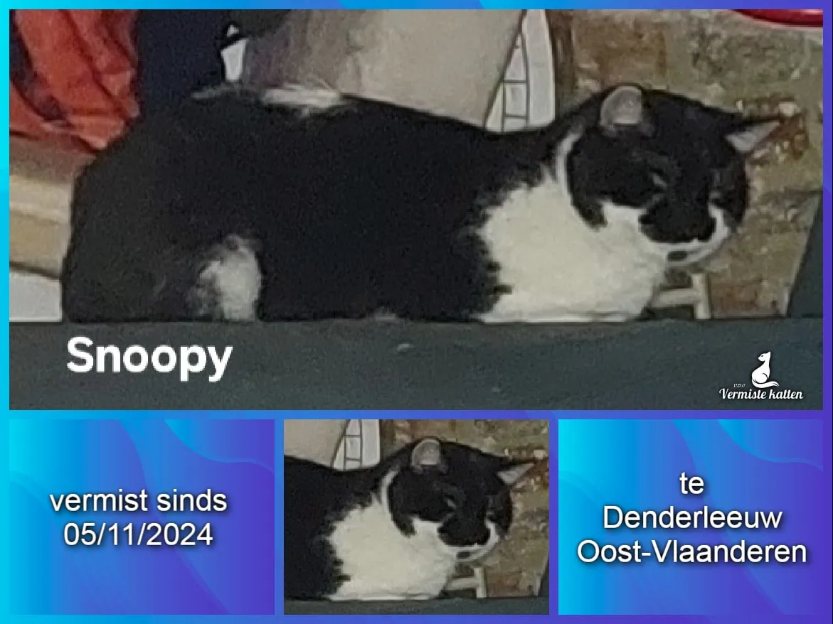 Snoopy