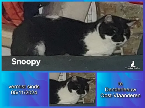 Snoopy