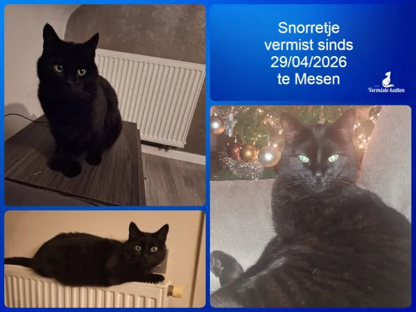 SNORRETJE