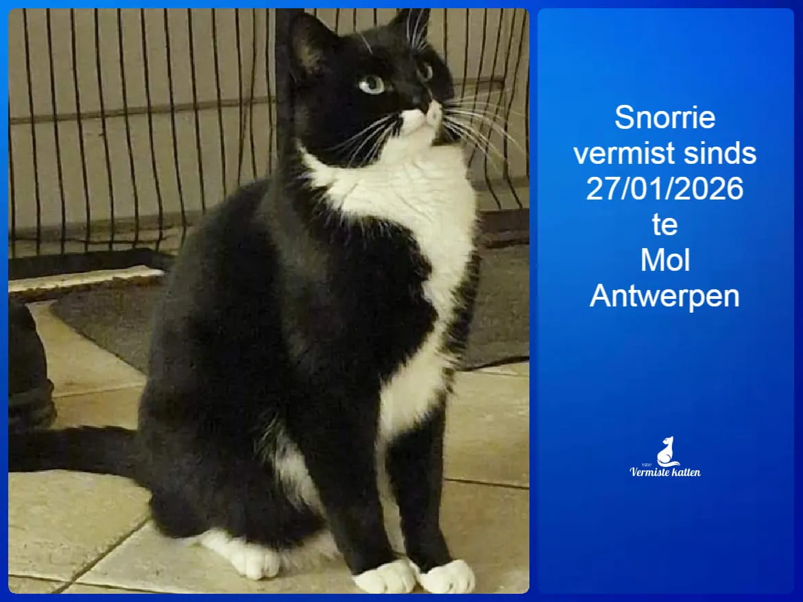 Snorrie