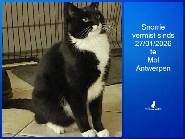 Snorrie