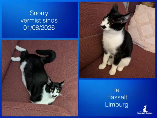 Snorry