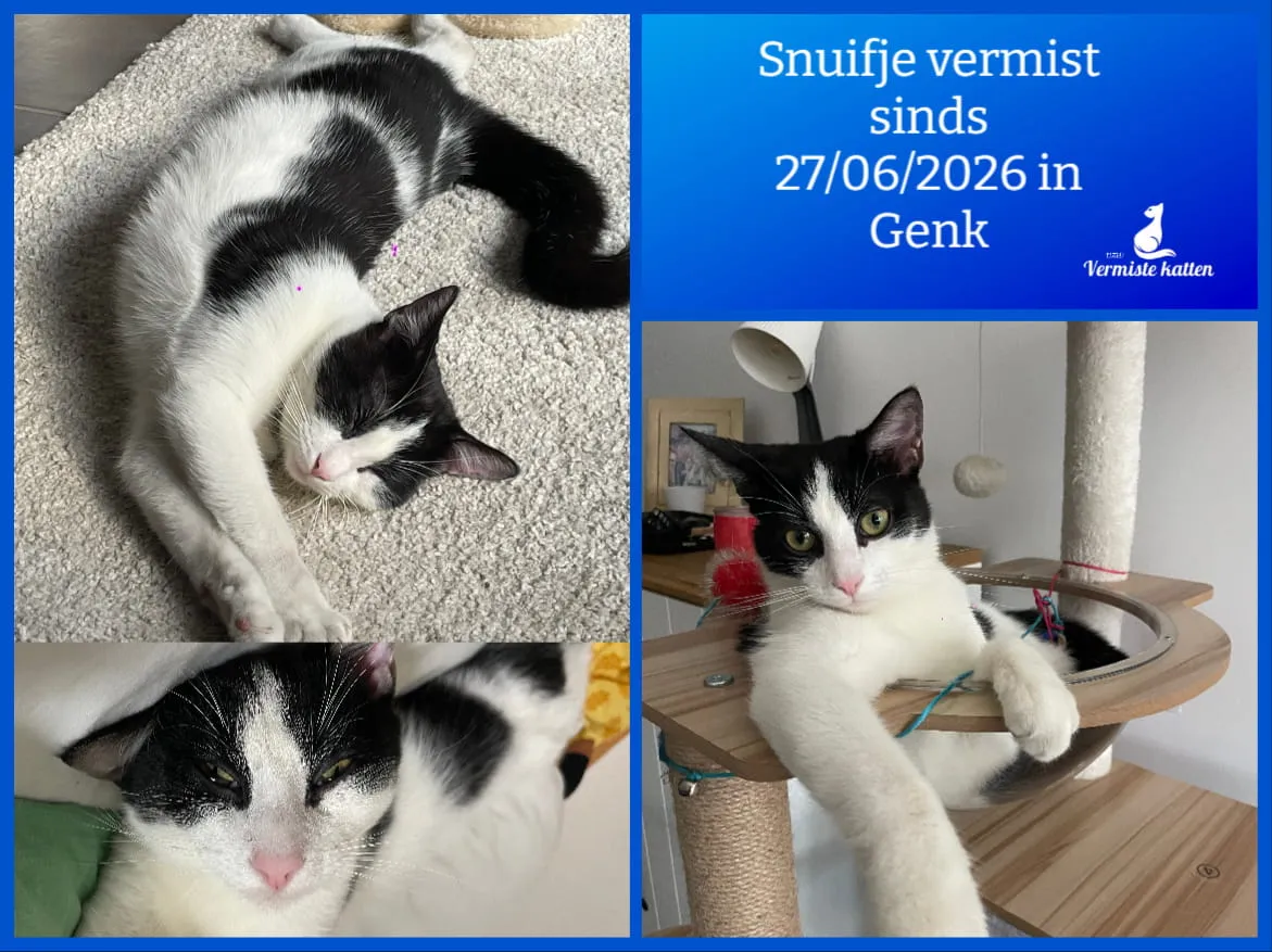 Snuifje