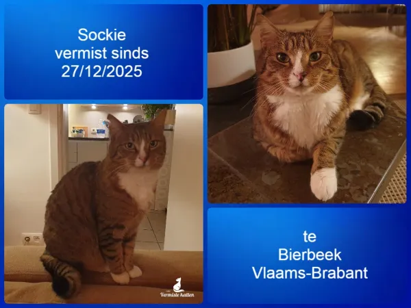 Sockie