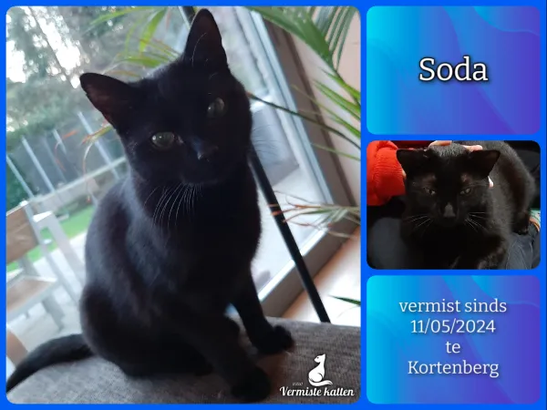 Soda