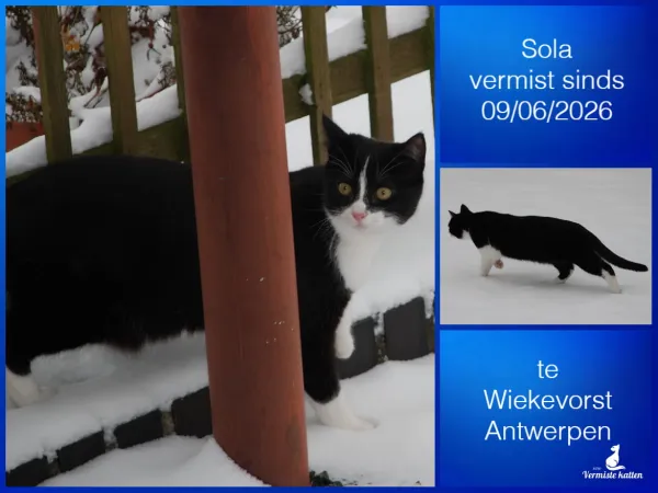 Sola