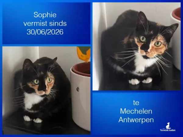Sophie