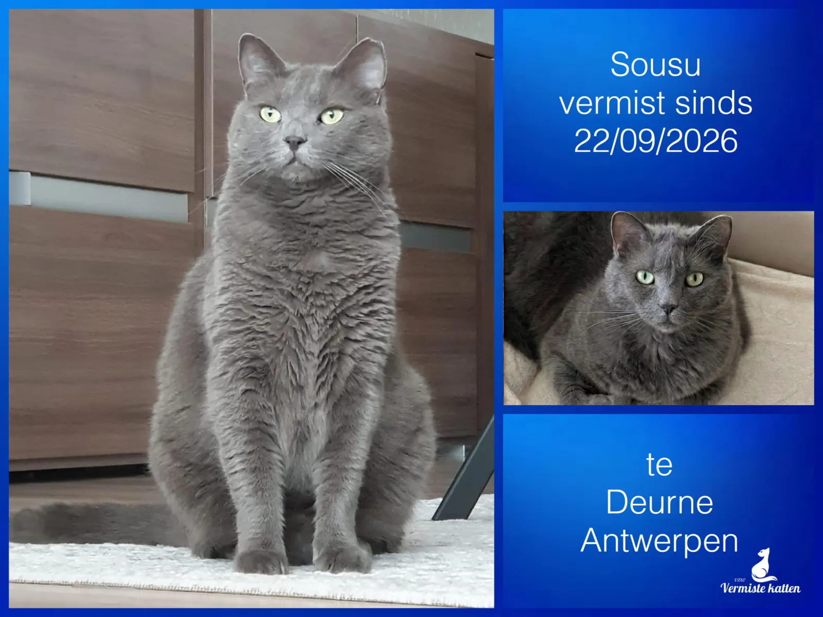 Sousu