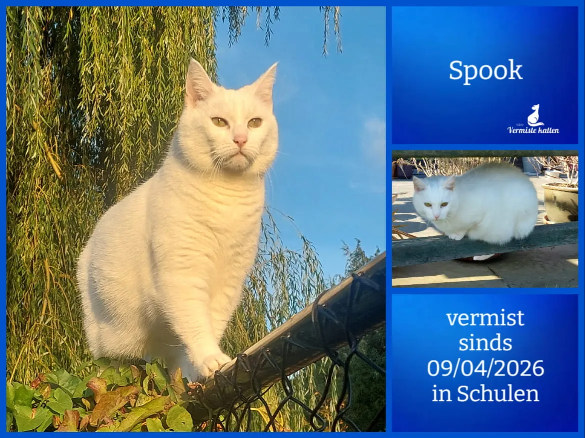 Spook
