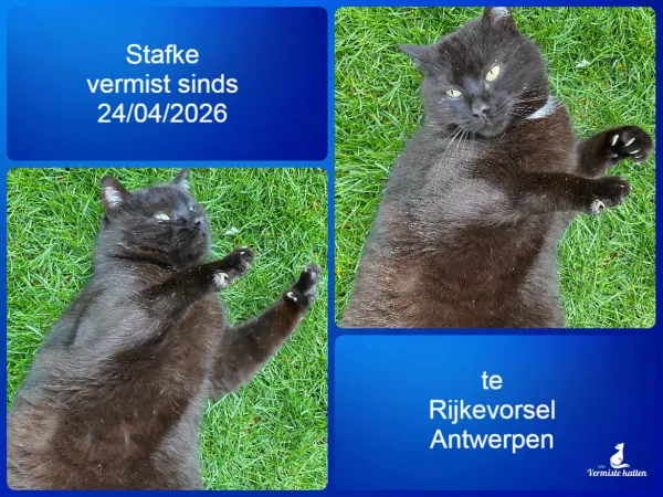 Stafke