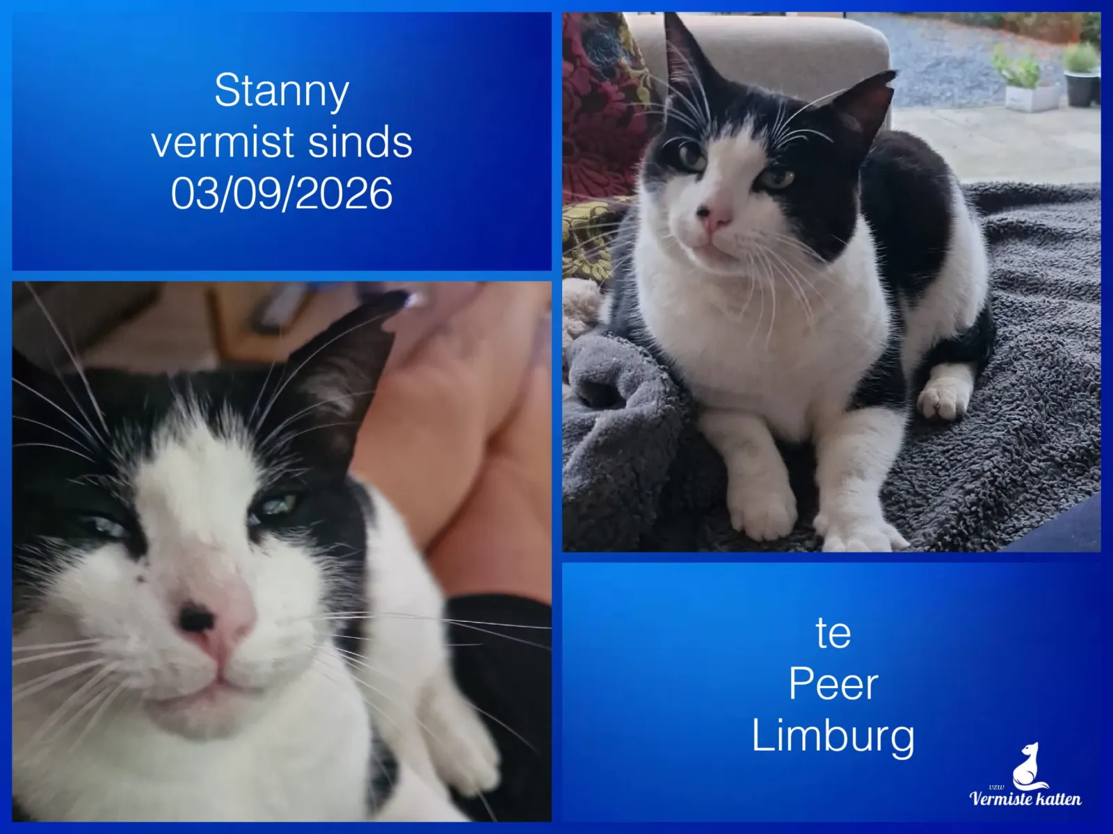 Stanny