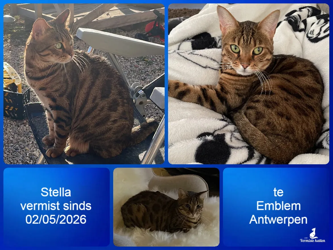 Stella