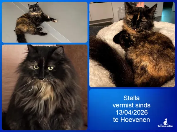 Stella