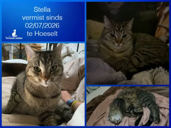 Stella