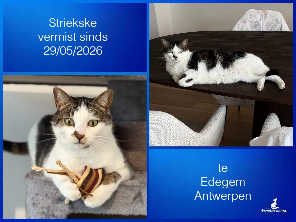 Striekske