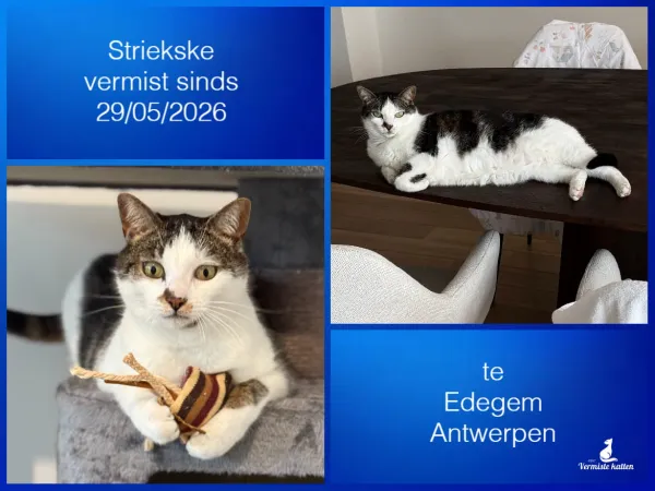 Striekske