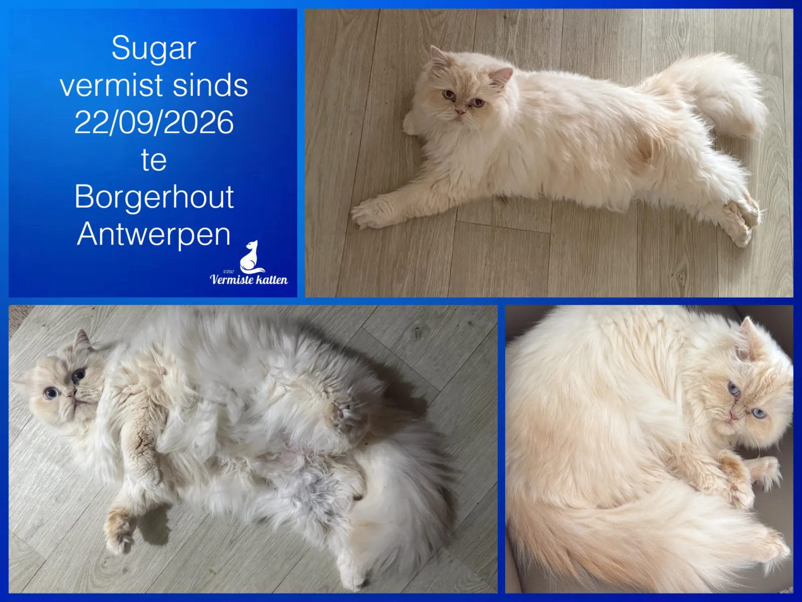 Sugar