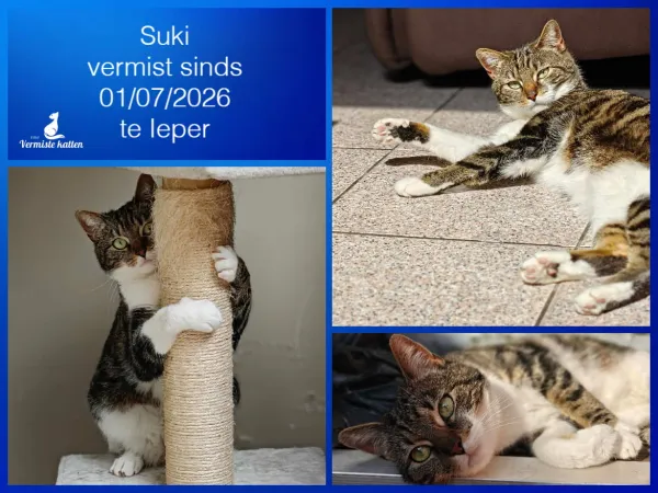 Suki