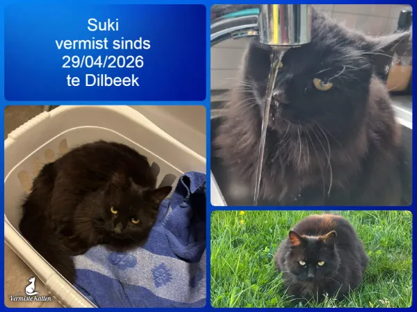 Suki