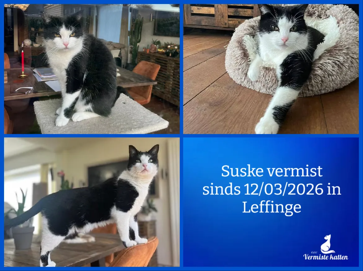 Suske