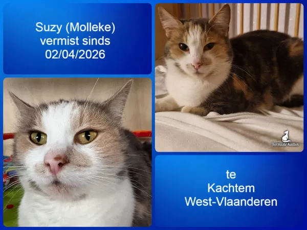 Suzy (roepnaam Molleke)