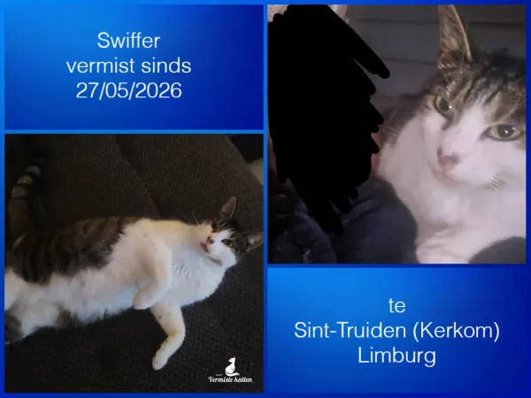 Swiffer