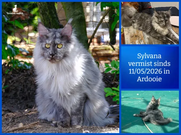 Sylvana
