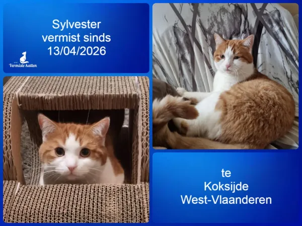 Sylvester