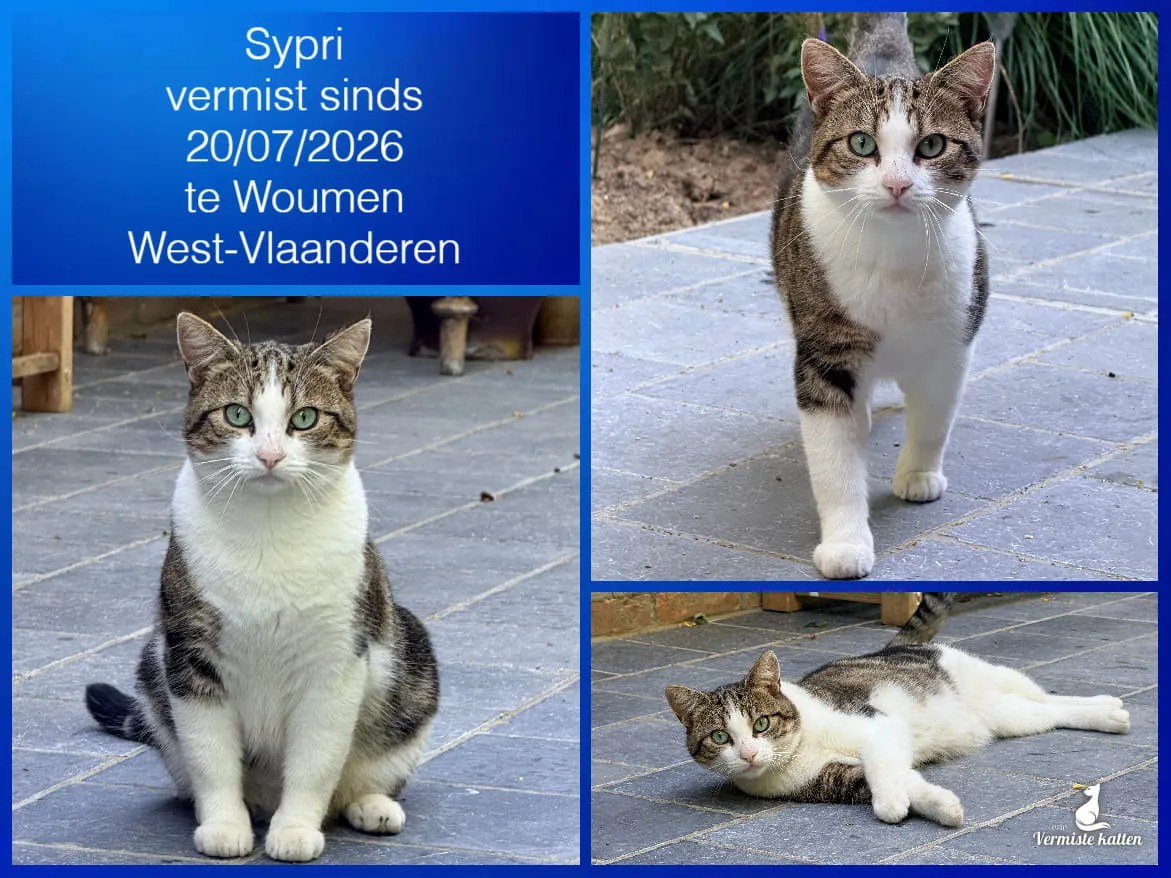 Sypri