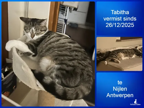 Tabitha
