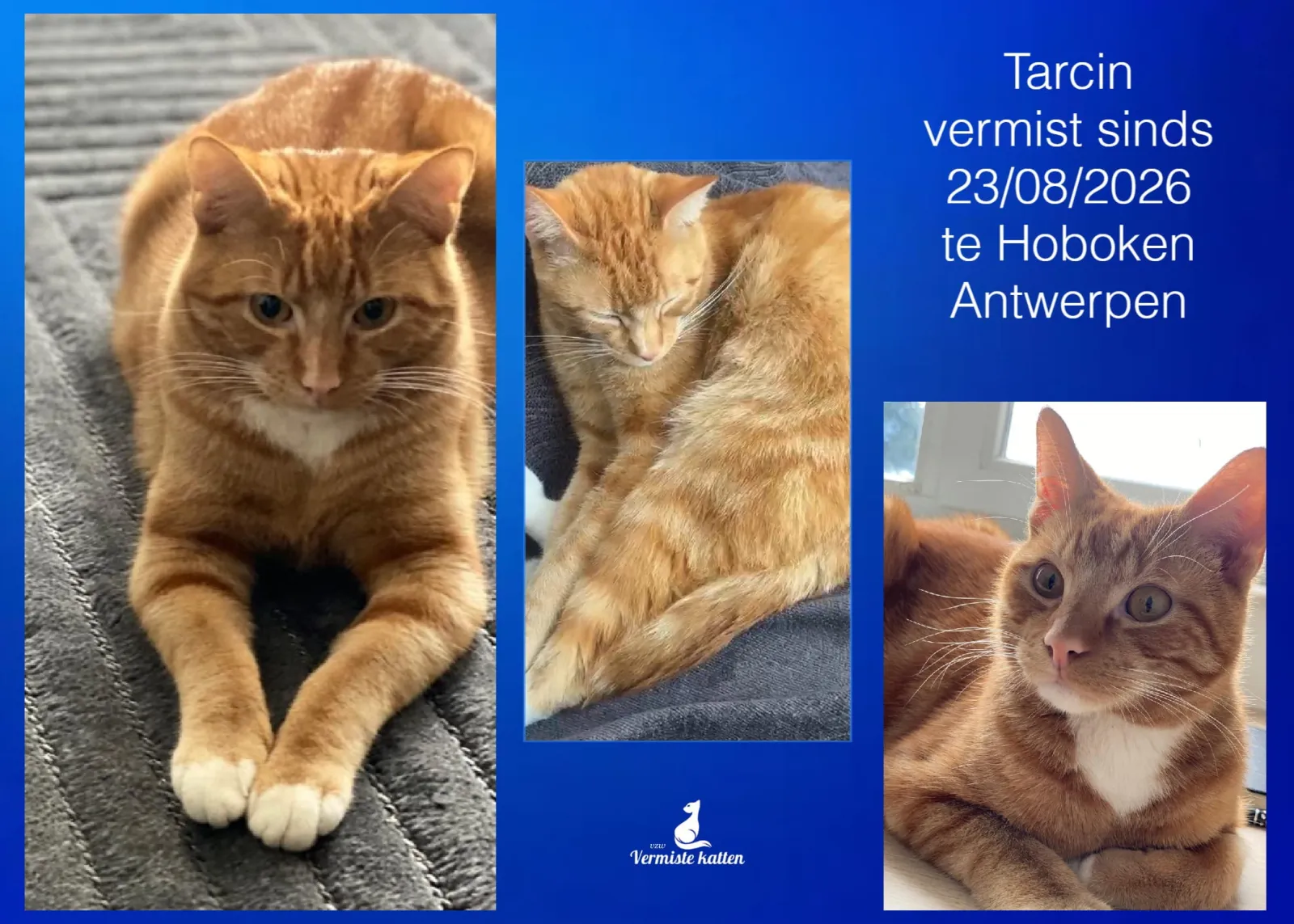 Tarcin